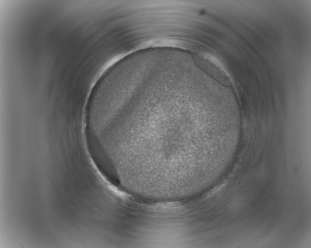 X0000063531133200602102010