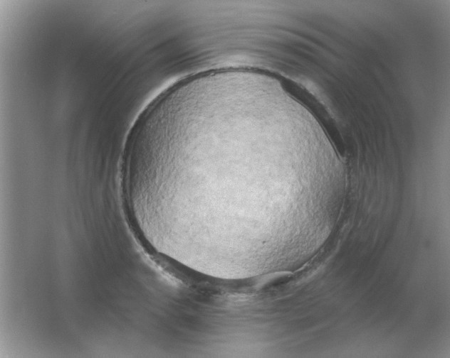 X0000063531134200602102010