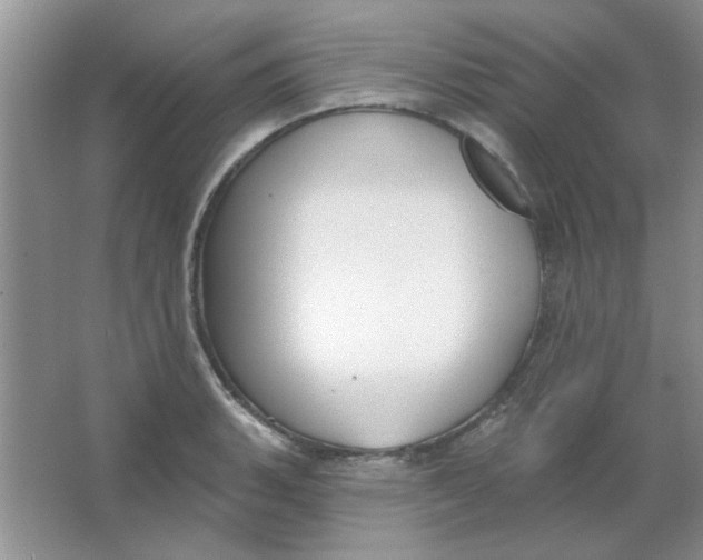 X0000063531135200602102010