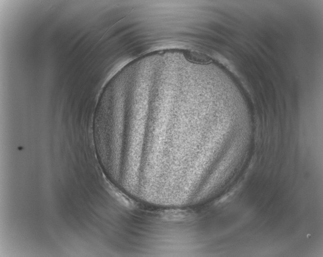 X0000063531137200602102010