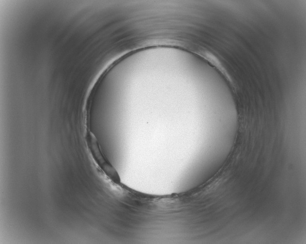 X0000063531140200602102011