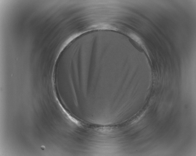 X0000063531141200602102011