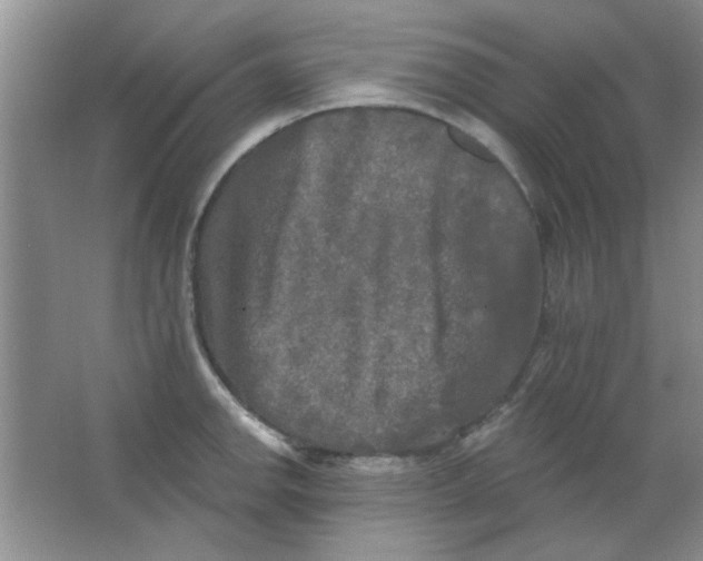 X0000063531142200602102011