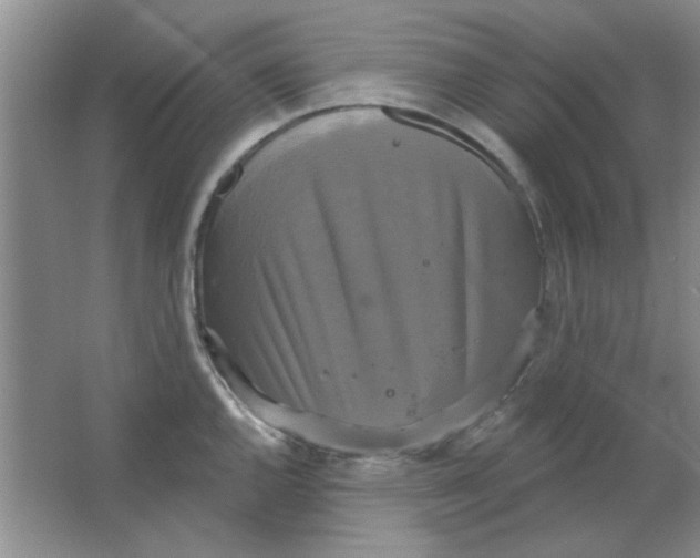 X0000063531144200602102011