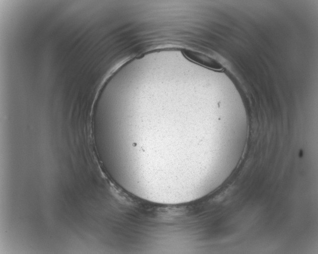 X0000063531145200602102011