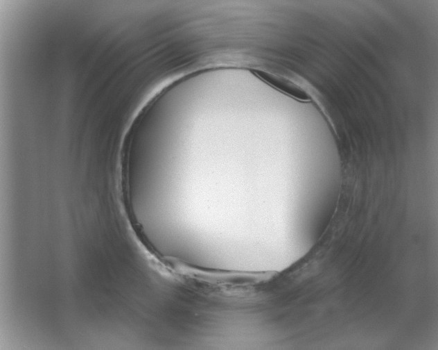 X0000063531147200602102011