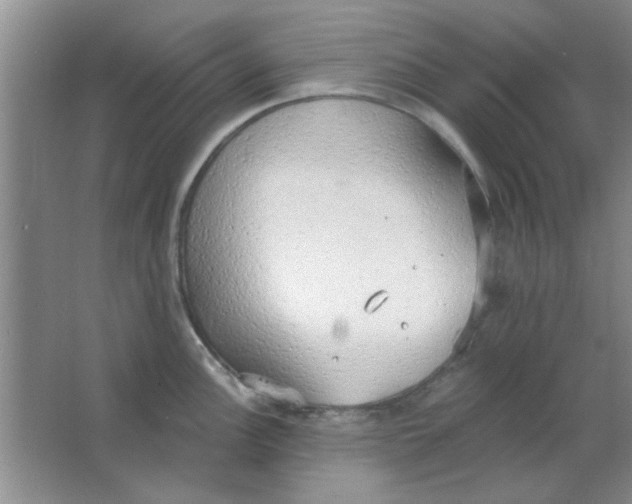 X0000063531148200602102011