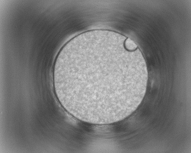 X0000063531150200602102011