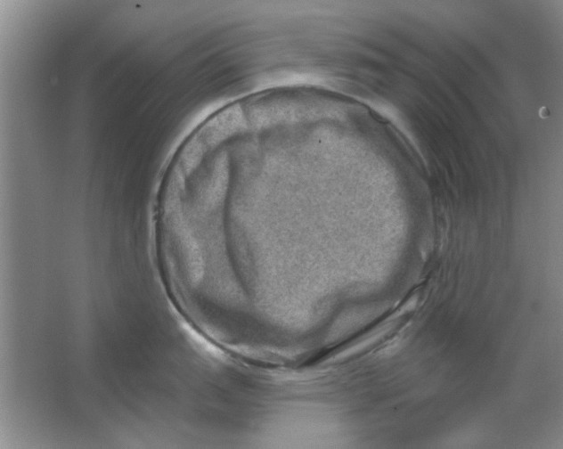 X0000063531151200602102011