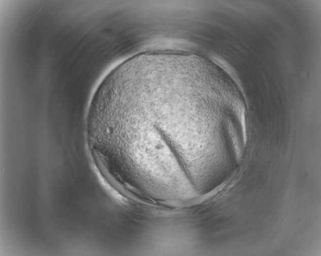 X0000063531152200602102011