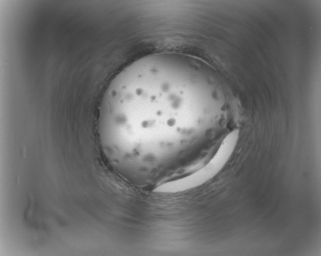 X0000063531153200602102010