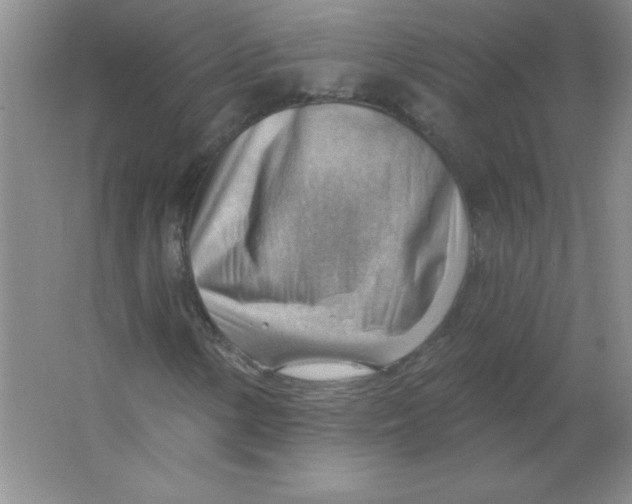 X0000063531154200602102010