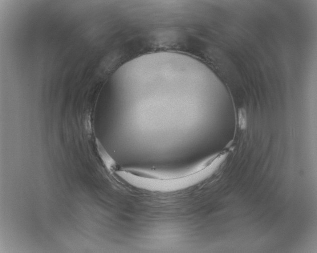 X0000063531155200602102010