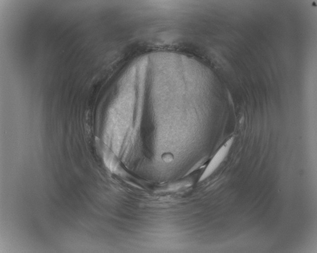 X0000063531156200602102010