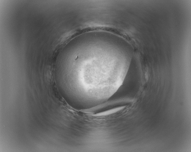 X0000063531157200602102010