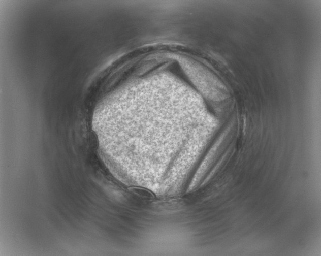 X0000063531159200602102010