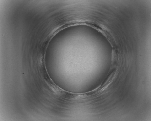 X0000063531161200602102010