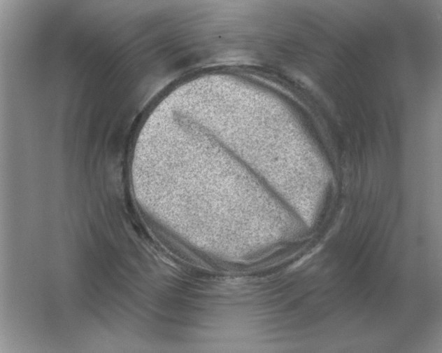 X0000063531162200602102010