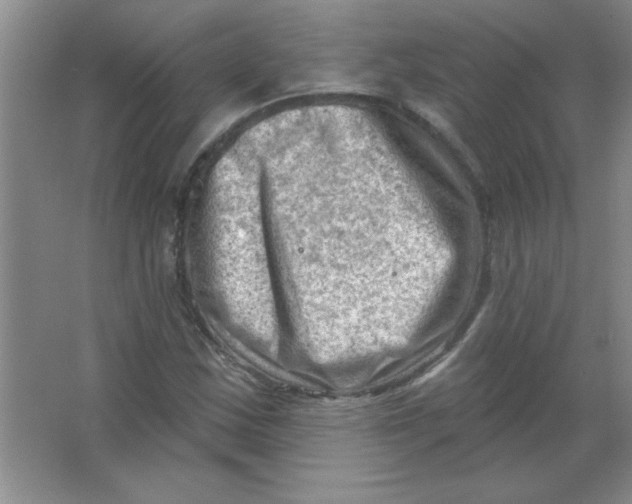 X0000063531163200602102010