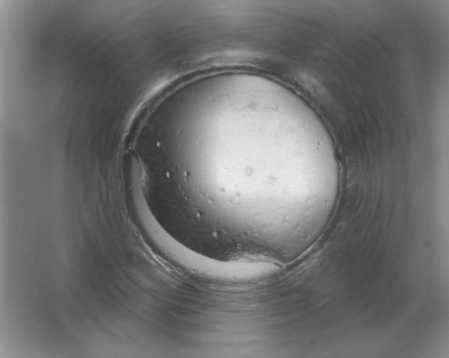 X0000063531164200602102010