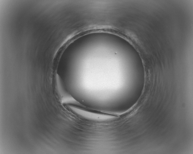 X0000063531165200602102010