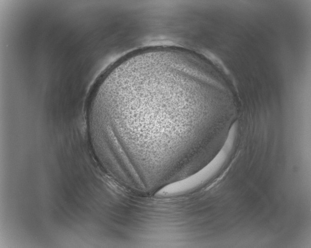 X0000063531167200602102010