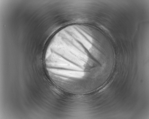 X0000063531170200602102010