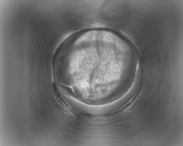 X0000063531171200602102010