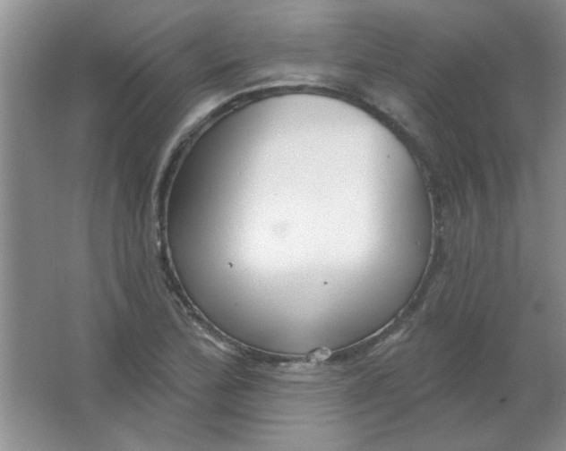 X0000063531172200602102010