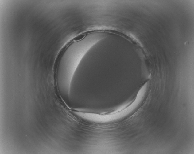 X0000063531173200602102010