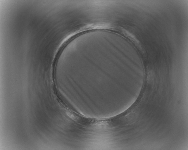 X0000063531174200602102010