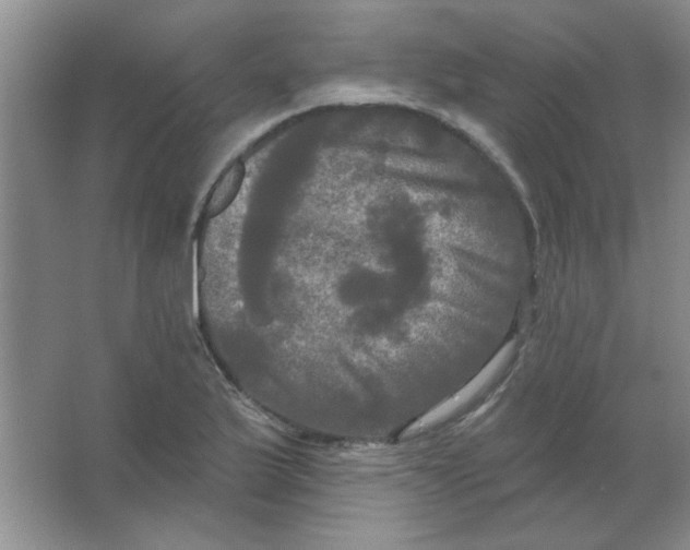 X0000063531175200602102010