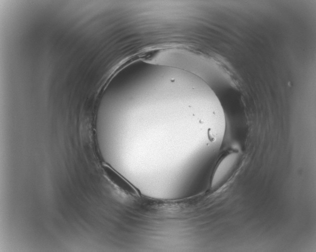 X0000063531177200602102010