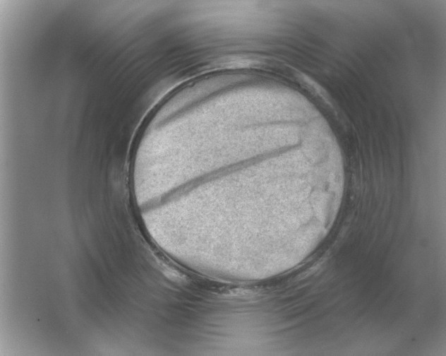 X0000063531178200602102010