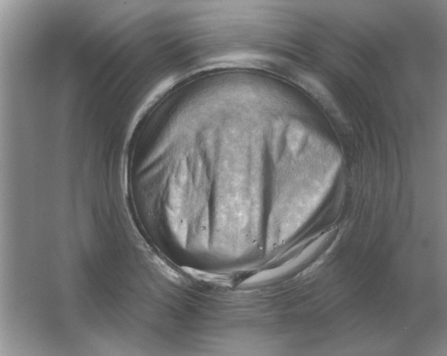 X0000063531180200602102009