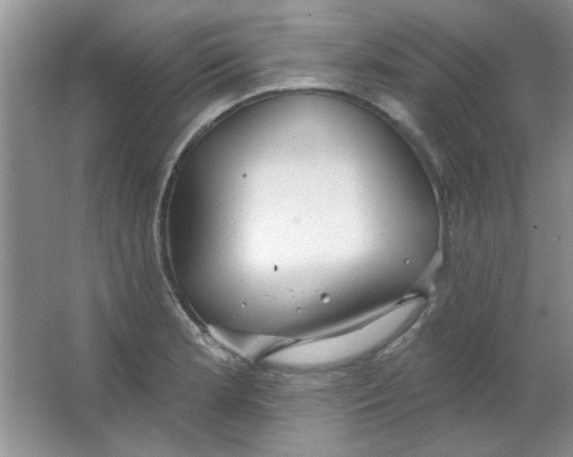 X0000063531181200602102009