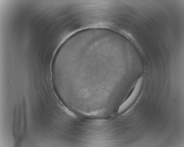 X0000063531184200602102009