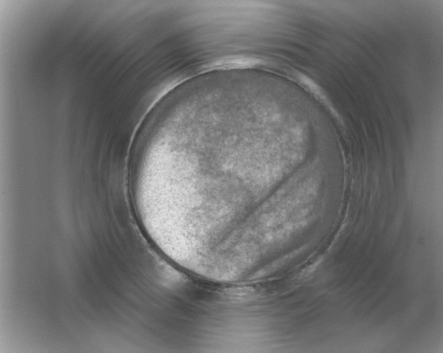 X0000063531186200602102009