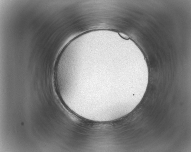 X0000063531187200602102009