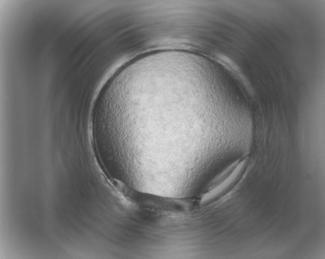 X0000063531188200602102009