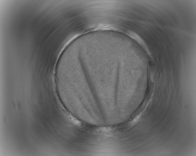 X0000063531190200602102009