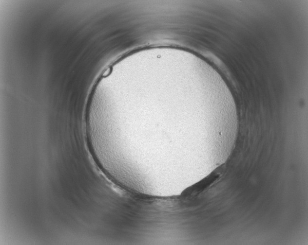 X0000063531191200602102009