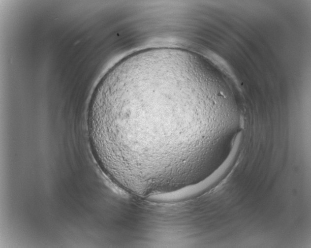 X0000063531192200602102009