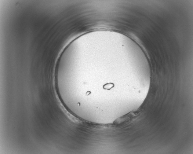 X0000063531195200602102009