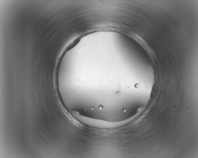 X0000063531196200602102009