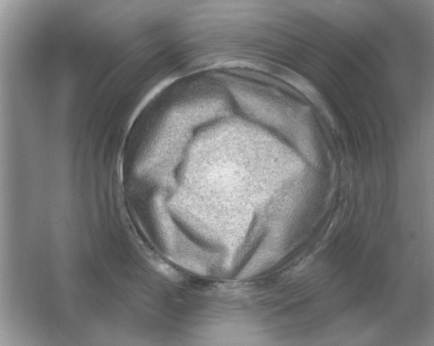 X0000063531198200602102009