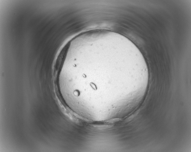 X0000063531200200602102009