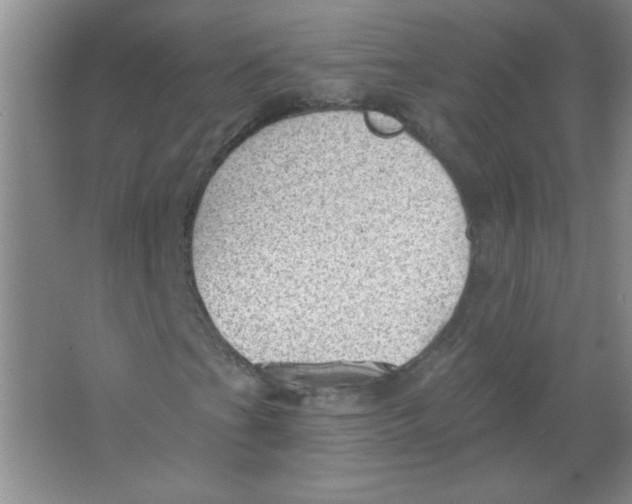 X0000063531201200602102008