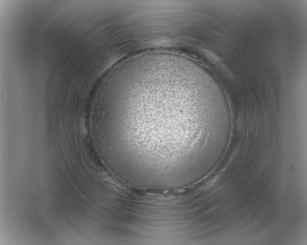 X0000063531209200602102008