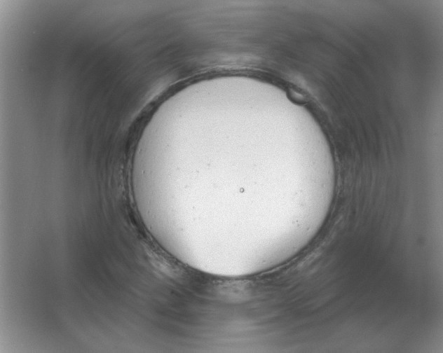 X0000063531211200602102008